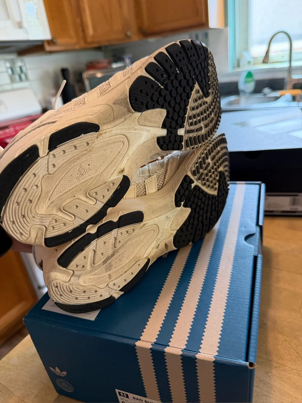 Adidas Adizero SL 72 Bad Bunny Off White